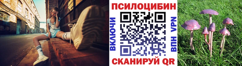 блэк спрут ссылка  Корсаков  Галлюциногенные грибы Magic Shrooms  где купить наркоту 